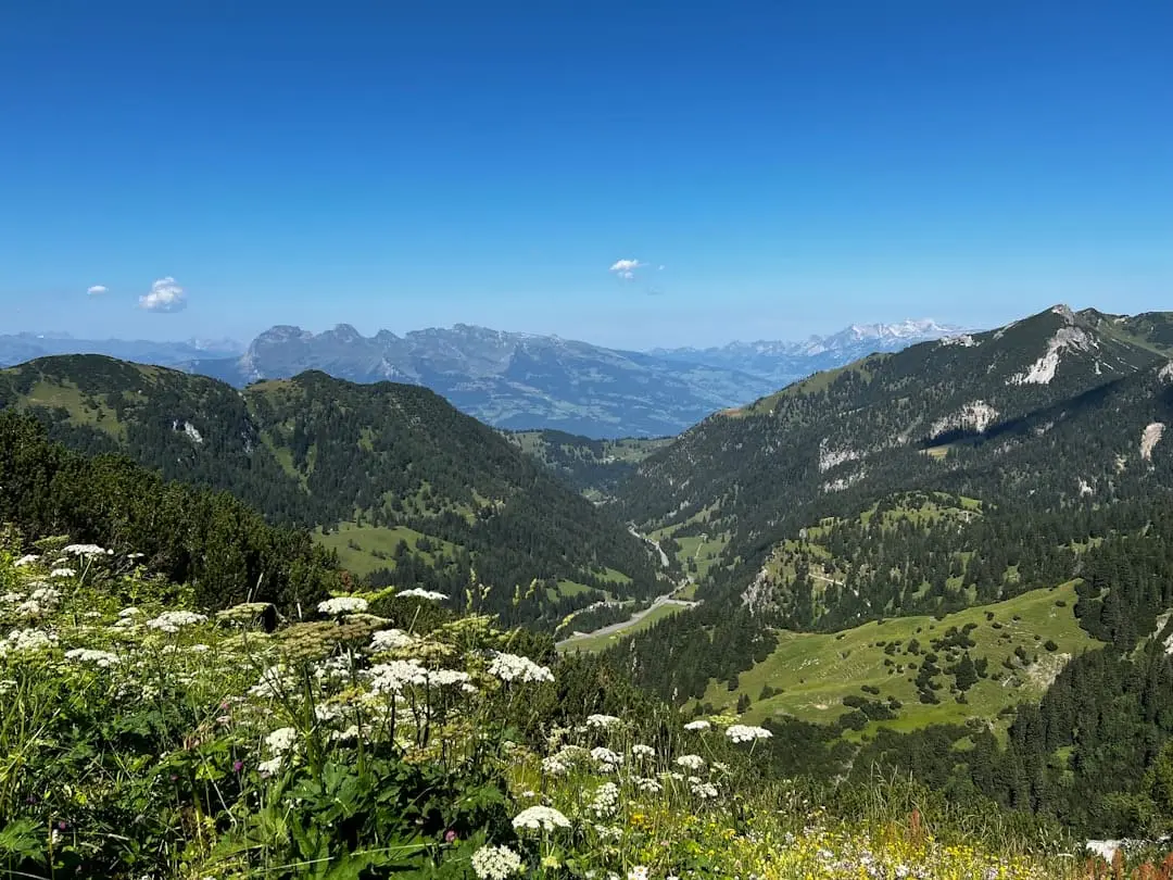 Flygplatser i närheten av Liechtenstein – lätt och bekvämt illustration